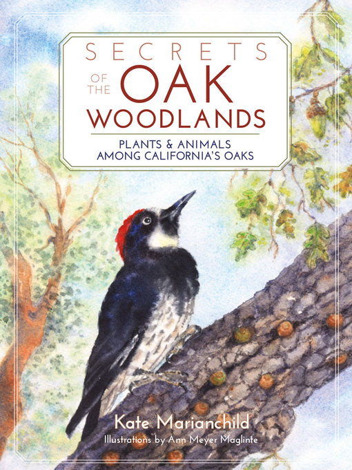 Title details for Secrets of the Oak Woodlands by Kate Marianchild - Available